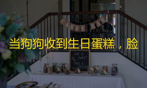 ADE解密内核暗区突围当狗狗收到生日蛋糕
，脸上的表情绝了……